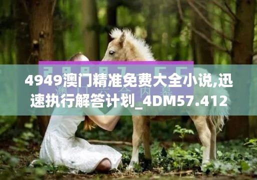 4949澳门精准免费大全小说,迅速执行解答计划_4DM57.412