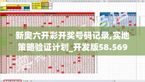 新奥六开彩开奖号码记录,实地策略验证计划_开发版58.569