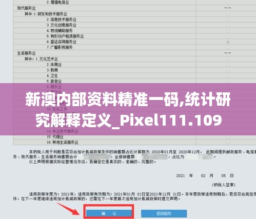 新澳内部资料精准一码,统计研究解释定义_Pixel111.109