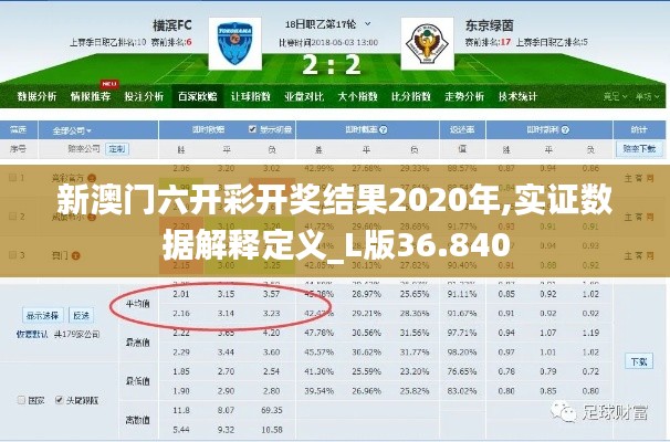 新澳门六开彩开奖结果2020年,实证数据解释定义_L版36.840