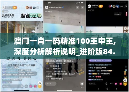 澳门一肖一码精准100王中王,深度分析解析说明_进阶版84.405