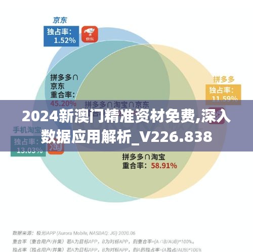 2024新澳门精准资材免费,深入数据应用解析_V226.838