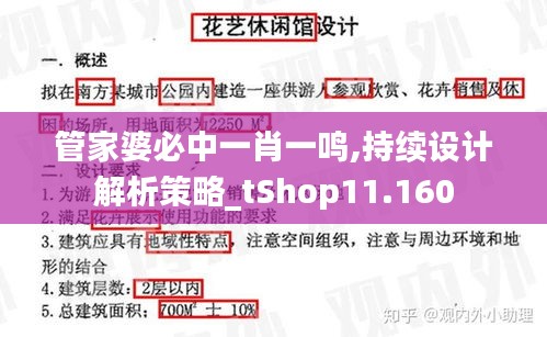 管家婆必中一肖一鸣,持续设计解析策略_tShop11.160