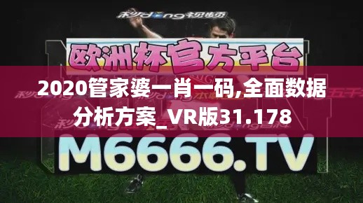 2020管家婆一肖一码,全面数据分析方案_VR版31.178