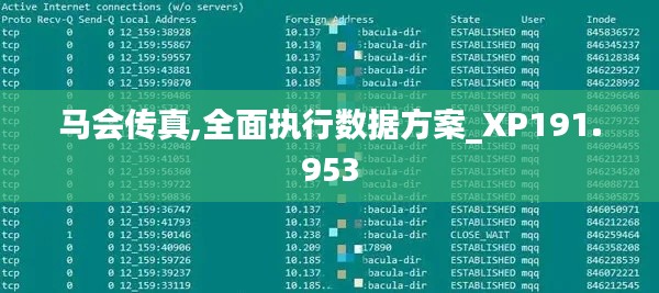 马会传真,全面执行数据方案_XP191.953