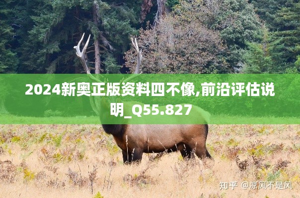 2024新奥正版资料四不像,前沿评估说明_Q55.827