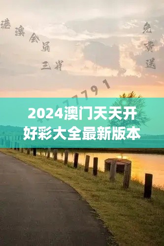 2024澳门天天开好彩大全最新版本340期,实证分析解析说明_S25.273-6