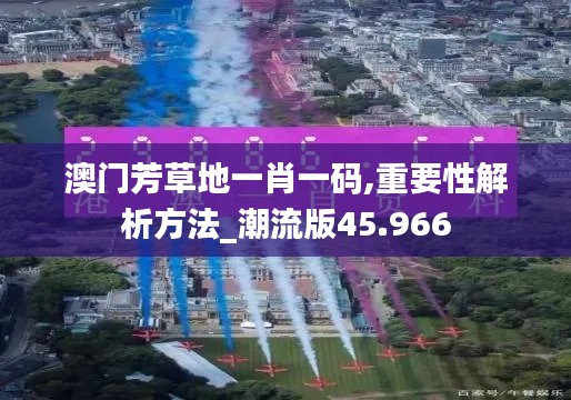 澳门芳草地一肖一码,重要性解析方法_潮流版45.966