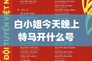 白小姐今天晚上特马开什么号,创新性方案设计_C版57.360