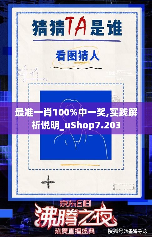 最准一肖100%中一奖,实践解析说明_uShop7.203