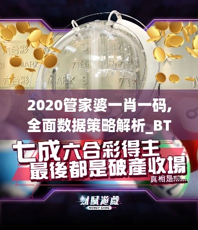 2020管家婆一肖一码,全面数据策略解析_BT1.755