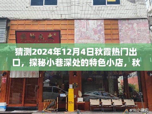 探秘秋霞未来热门出口，小巷特色小店宝藏，2024年12月4日秋霞展望