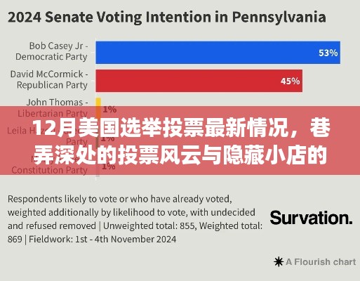 美国大选最新动态，巷弄深处的投票风云与隐藏小店的独特魅力