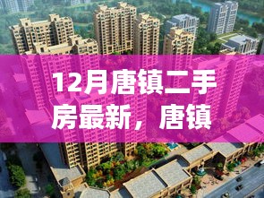 唐镇二手房市场深度解析，12月最新趋势与购房指南