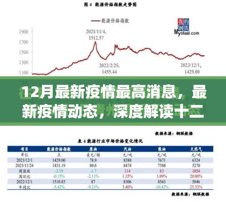 深度解读，最新疫情动态与防控关键信息，掌握十二月最新疫情消息