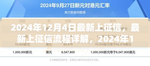 最新上征信流程详解及操作指南（2024年12月4日版）