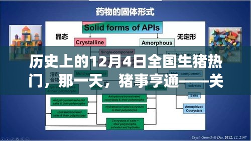 温馨故事，全国生猪市场的亨通日——12月4日的繁荣篇章