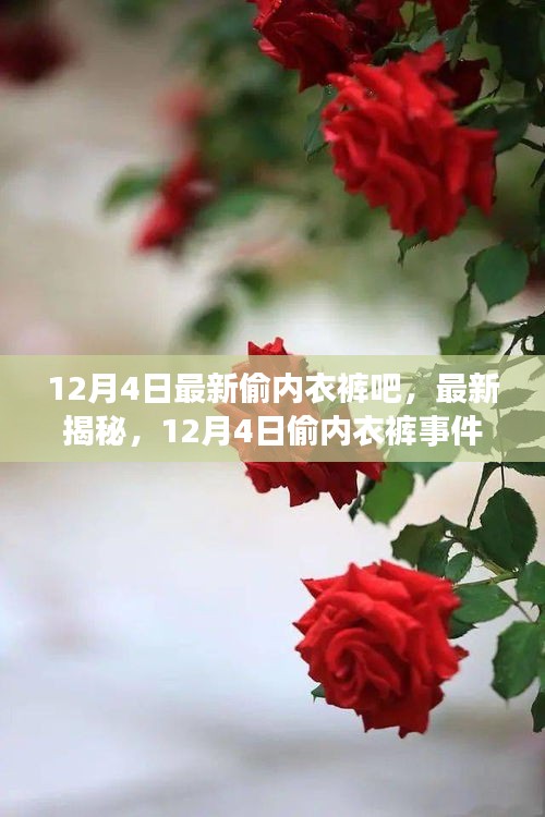 揭秘12月4日偷内衣裤事件，小红书带你探寻背后真相