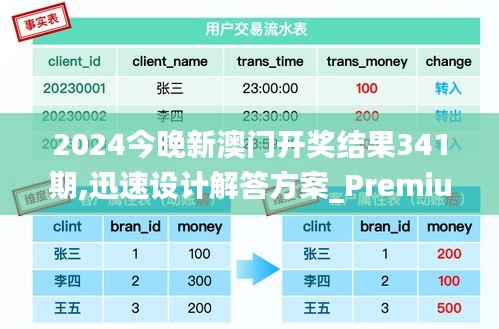 2024今晚新澳门开奖结果341期,迅速设计解答方案_Premium4.100