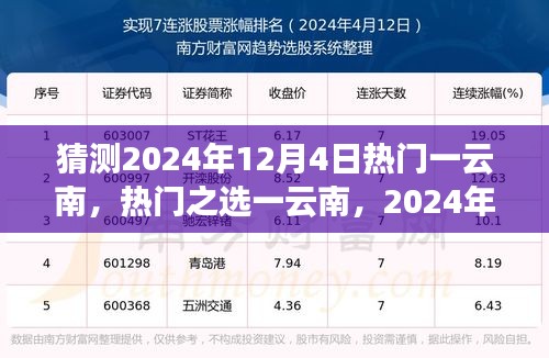 2024年12月5日