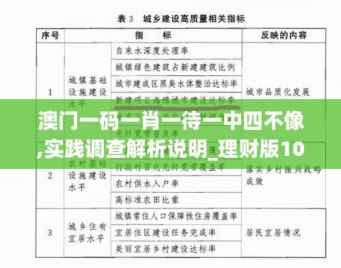 澳门一码一肖一待一中四不像,实践调查解析说明_理财版10.165