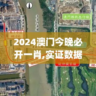 2024澳门今晚必开一肖,实证数据解释定义_标配版8.762