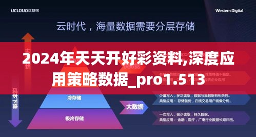 2024年天天开好彩资料,深度应用策略数据_pro1.513