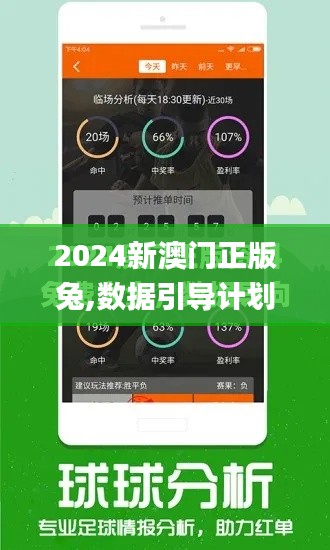 2024新澳门正版兔,数据引导计划执行_影像版6.156