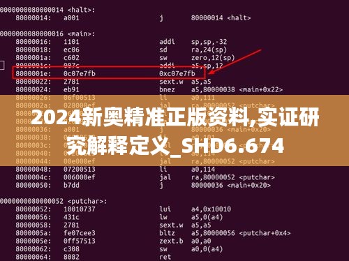 2024新奥精准正版资料,实证研究解释定义_SHD6.674