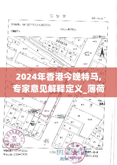 2024年香港今晚特马,专家意见解释定义_薄荷版3.190