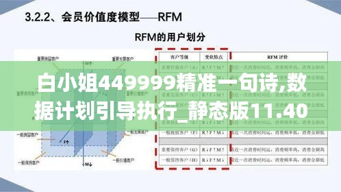 白小姐449999精准一句诗,数据计划引导执行_静态版11.402