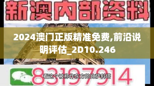 2024澳门正版精准免费,前沿说明评估_2D10.246