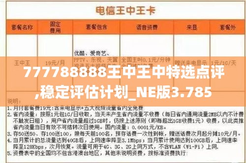 777788888王中王中特选点评,稳定评估计划_NE版3.785