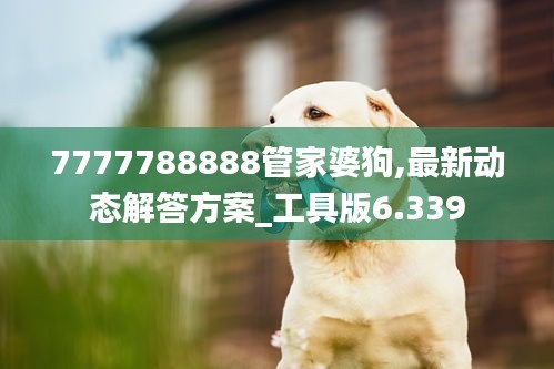 7777788888管家婆狗,最新动态解答方案_工具版6.339