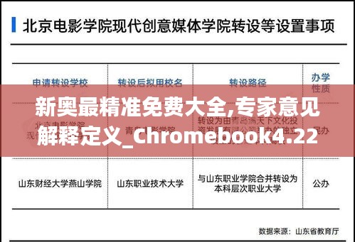 新奥最精准免费大全,专家意见解释定义_Chromebook4.220