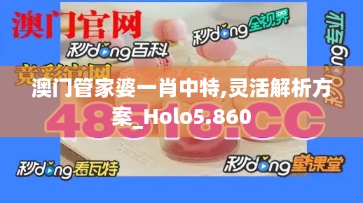 澳门管家婆一肖中特,灵活解析方案_Holo5.860