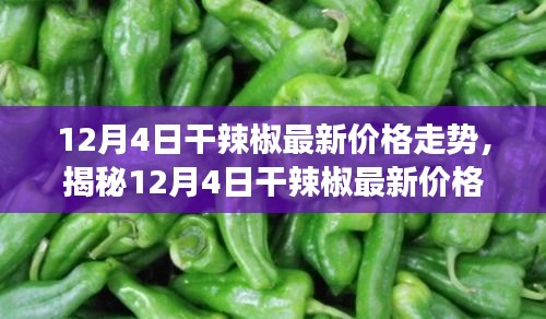 揭秘干辣椒市场波动背后的原因，最新价格走势深度解析（12月4日）