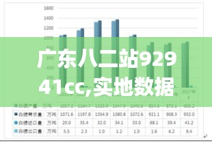 广东八二站92941cc,实地数据评估策略_粉丝款4.807