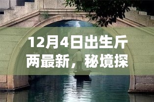 秘境探索与斤两体验之旅，小巷深处的独特风味——12月4日最新斤两揭秘