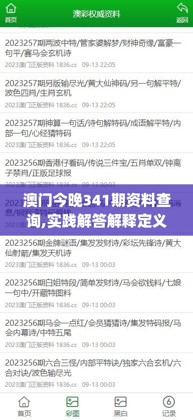 澳门今晚341期资料查询,实践解答解释定义_专业款2.216