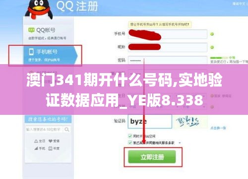 澳门341期开什么号码,实地验证数据应用_YE版8.338