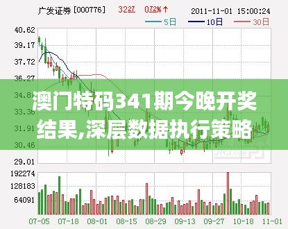 澳门特码341期今晚开奖结果,深层数据执行策略_pro10.472