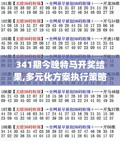 341期今晚特马开奖结果,多元化方案执行策略_10DM6.908