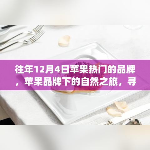 苹果品牌下的心灵之旅，探寻自然之力与内心宁静的力量