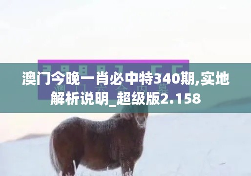 澳门今晚一肖必中特340期,实地解析说明_超级版2.158