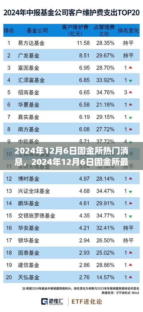 2024年12月6日固金所最新热门消息全面解读