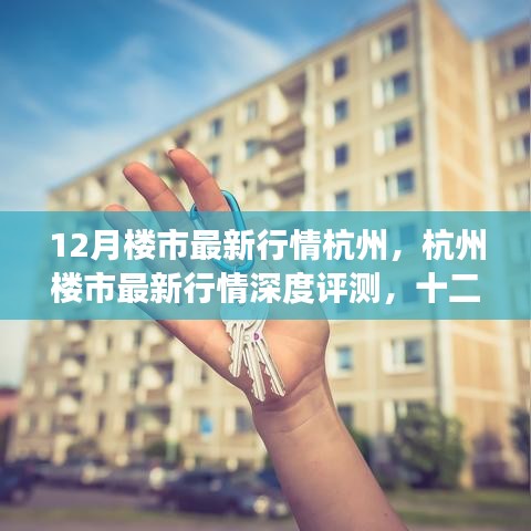 杭州楼市深度评测，十二月最新行情观察与市场全方位解读