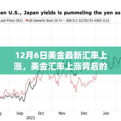 揭秘，12月6日美金汇率上涨背后的故事与特殊意义解析