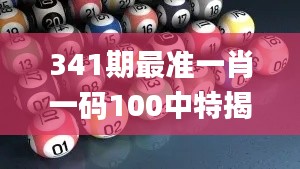 341期最准一肖一码100中特揭秘,定性解读说明_iPhone10.642