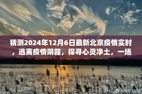 北京疫情最新动态与心灵净土探寻，自然美景之旅（2024年12月6日）